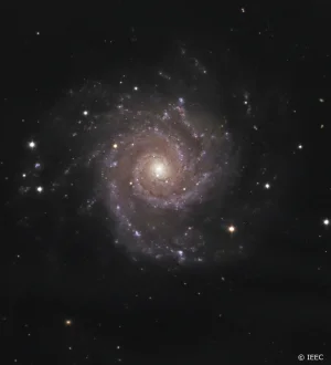 Spiral galaxy M74