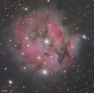 The Cocoon Nebula